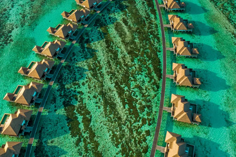 Elopement Wedding no COMO Maalifushi Resort